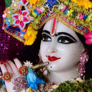 KRISHNA DEVINE COLOURS -, Vol. 2