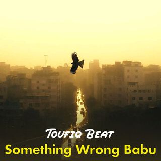 Something Wrong Babu