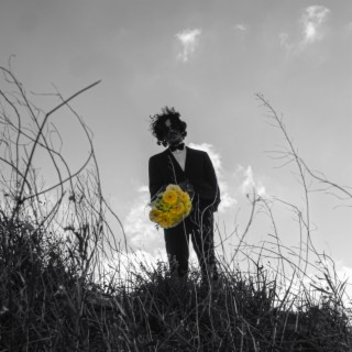 Yellow Flowers lyrics | Boomplay Music