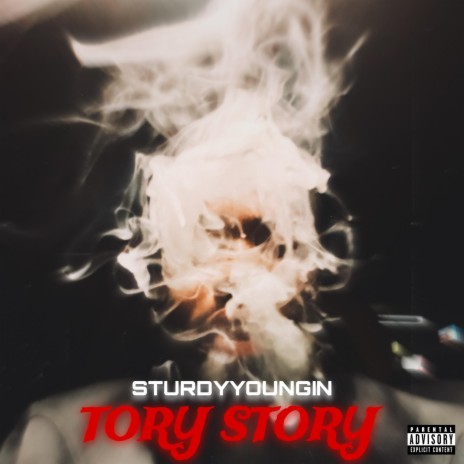 Tory Story | Boomplay Music