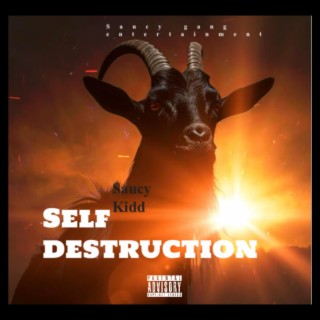 Self Destruction