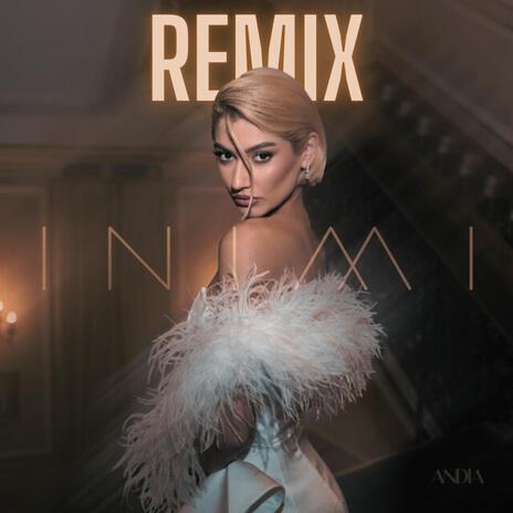 Inimi (Andia) (VICTOR STAN x DJ ANDARO REMIX) | Boomplay Music