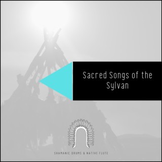 Sacred Songs of the Sylvan: Native American Music