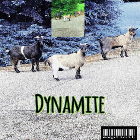 Dynamite | Boomplay Music