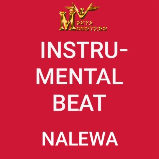 NALEWA INSTRUMENTALBEAT