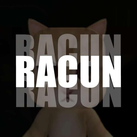 RACUN | Boomplay Music