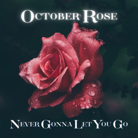 Never Gonna Let You Go | Boomplay Music