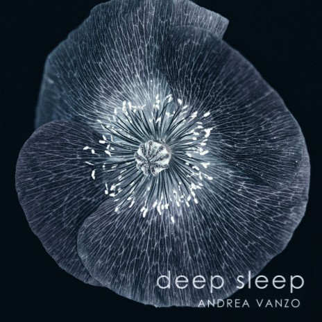 Deep Sleep | Boomplay Music