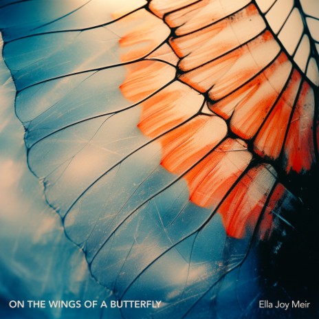 On the Wings of a Butterfly | Boomplay Music