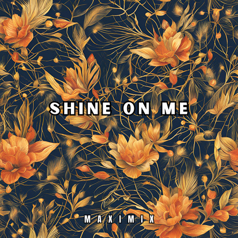 Shine on Me | Boomplay Music