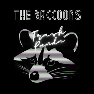 The Raccoons