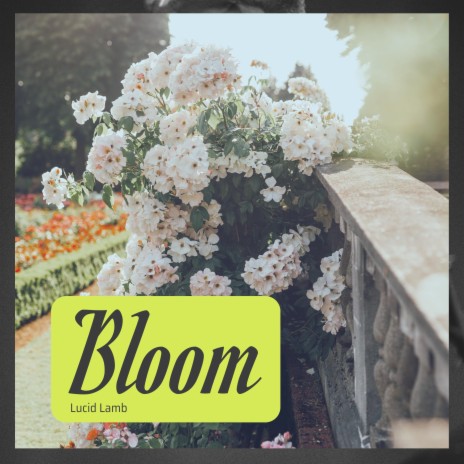Bloom (Be Something) | Boomplay Music