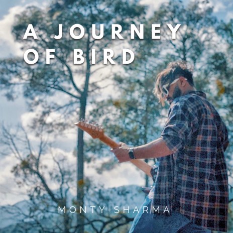 A Journey of Bird | Boomplay Music