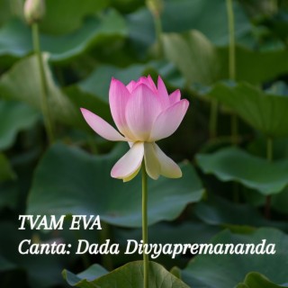 Tvam Eva