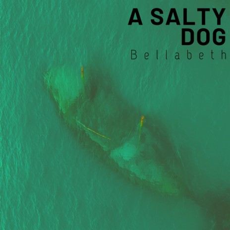 A Salty Dog | Boomplay Music