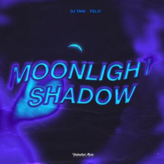 Moonlight Shadow (Techno)