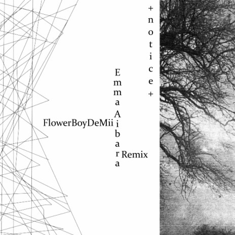 + n o t i c e + (FlowerBoyDeMii Remix) ft. FlowerBoyDeMii | Boomplay Music