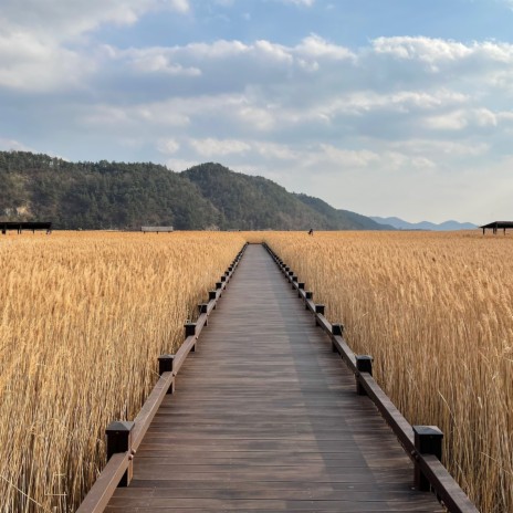 Suncheonman Bay reed beds (feat. 박경진) | Boomplay Music