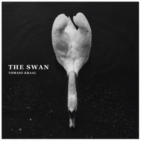 The Swan | Boomplay Music