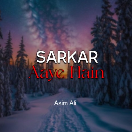 Sarkar Aaye Hain | Boomplay Music