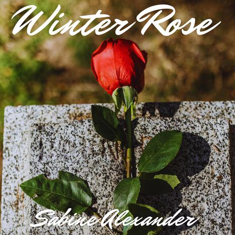 Winter Rose