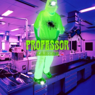 Professor