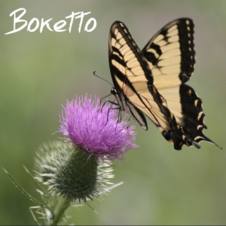 Boketto