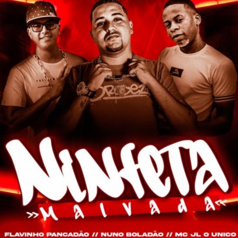 Ninfeta Malvada ft. Flavinho Pancadão & Mc JL O Unico | Boomplay Music