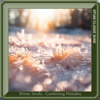 Winter Strolls-Comforting Melodies