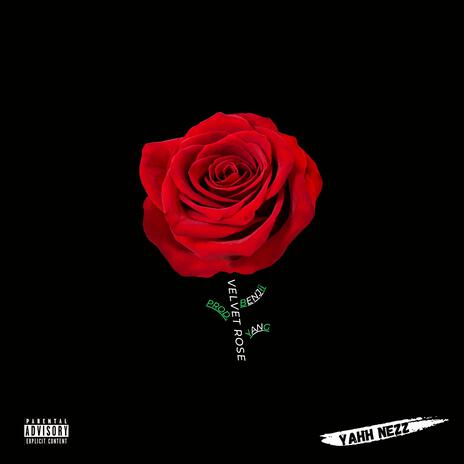 VELVET ROSE | Boomplay Music