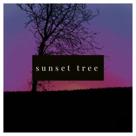 Sunset Tree | Boomplay Music