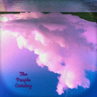 The Purple Catalog