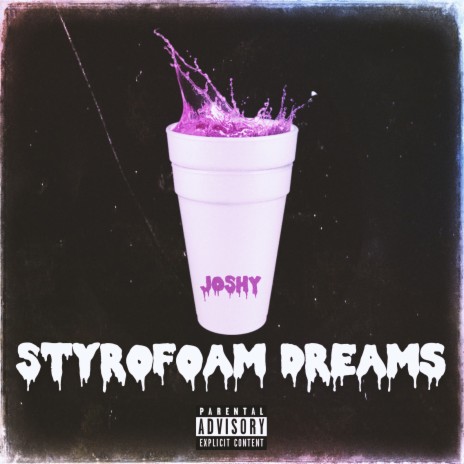 Styrofoam Dreams | Boomplay Music