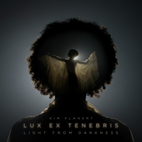 Lux Ex Tenebris (Light from Darkness) (feat. Kelci Hahn & Ro Rowan)