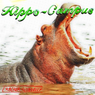 Hippo~Campus