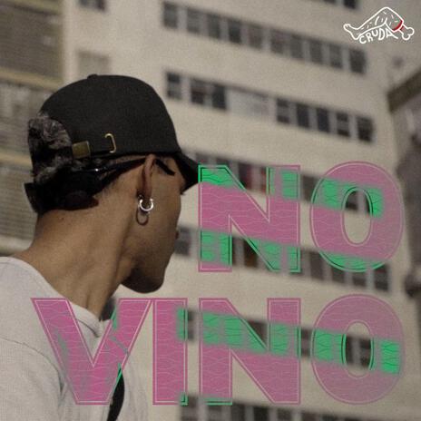 NO VINO | Boomplay Music