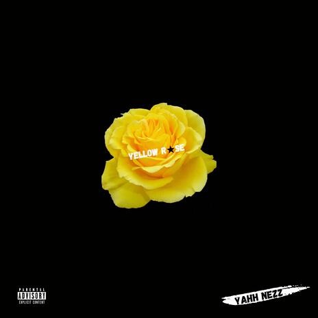 YELLOW ROSE | Boomplay Music