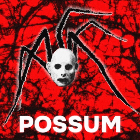 POSSUM | Boomplay Music