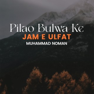 Pilao Bulwa Ke Jam e Ulfat