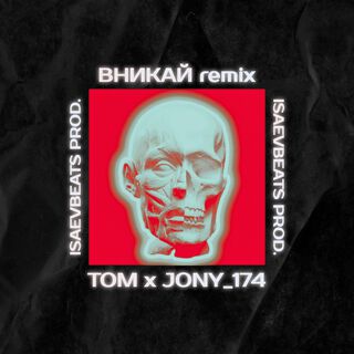 Вникай (Remix)