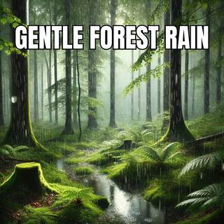 Gentle Forest Rain