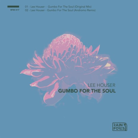 Gumbo for the Soul (Andromo Remix) | Boomplay Music