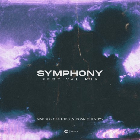 Symphony (Festival Mix) ft. Roan Shenoyy | Boomplay Music