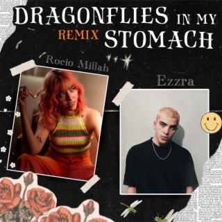 dragonflies in my stomach (Remix) ft. Rocío Millah lyrics | Boomplay Music