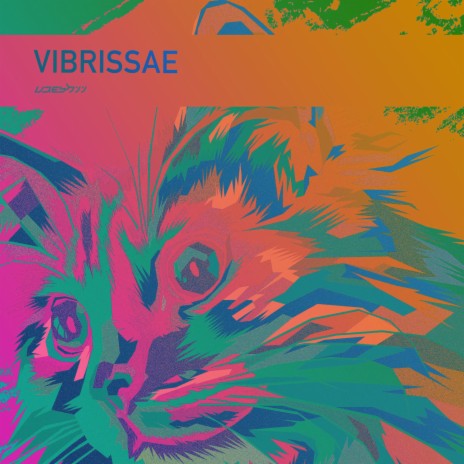 Vibrissae | Boomplay Music