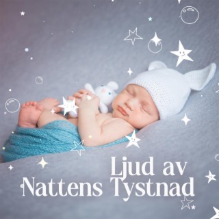 Ljud av Nattens Tystnad: Vaggvisor och Drömmusik, Musik för Barns Djupa Vila, Ny Ålder Sömn