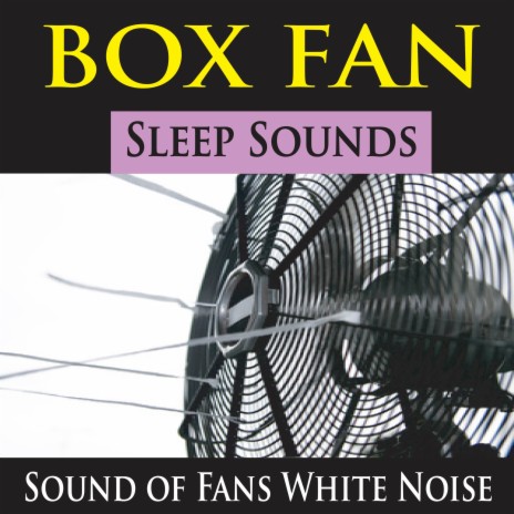 Ceiling Fan with Cricket White Noise | Boomplay Music