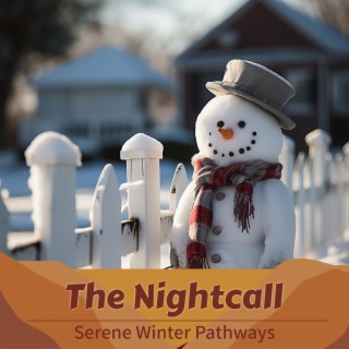 Serene Winter Pathways