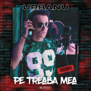 PE TREABA MEA