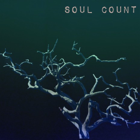 Soul Count | Boomplay Music